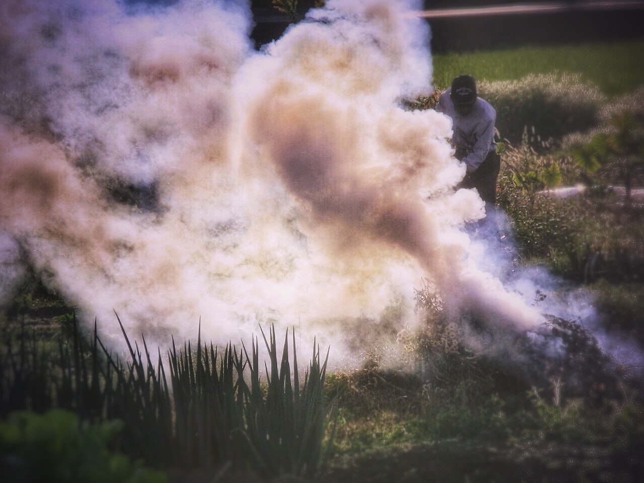 2024-04-inaka-photography-image-15