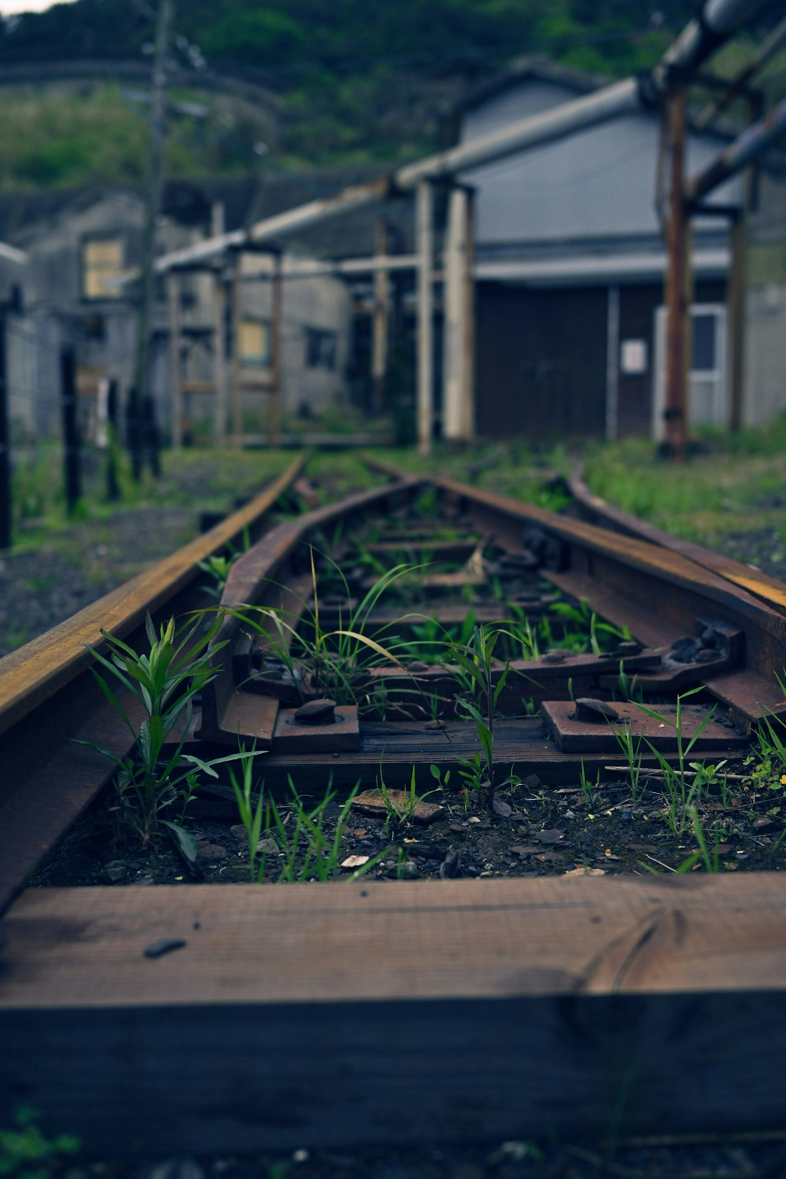 2025-08-photography-is-life-image-5