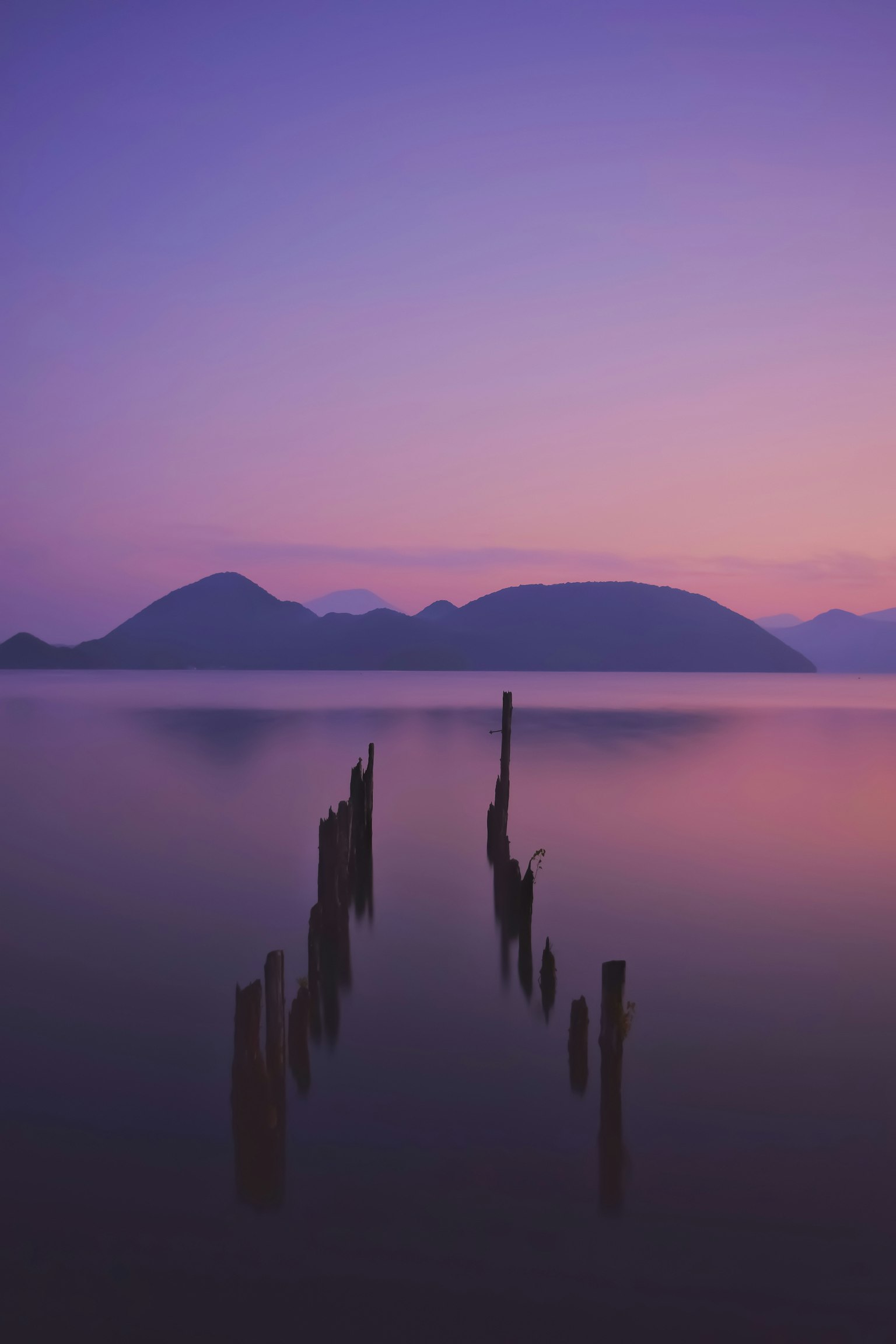 2024-04-daily-palette-award-image-13