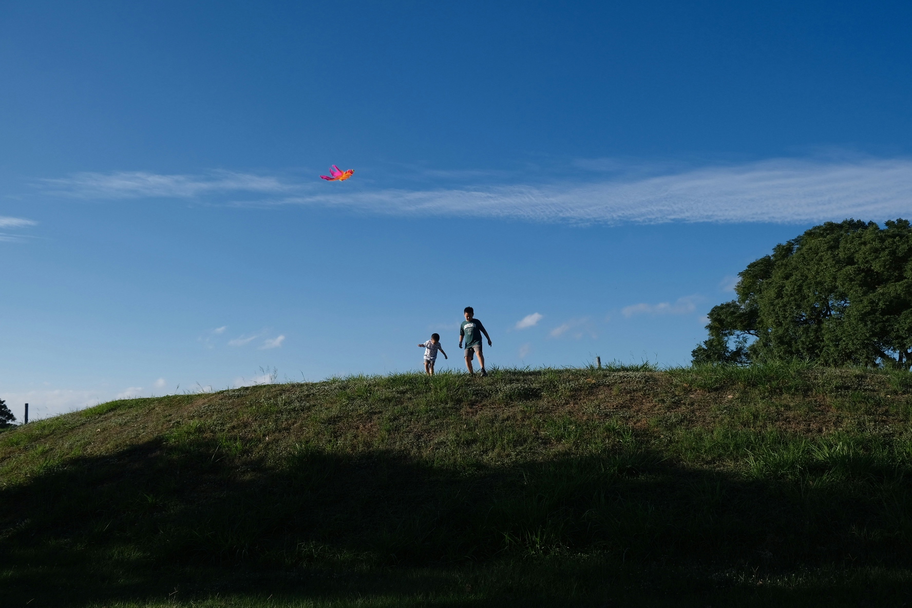 2026-06-read-your-photography-kite-blue-sky-image-12