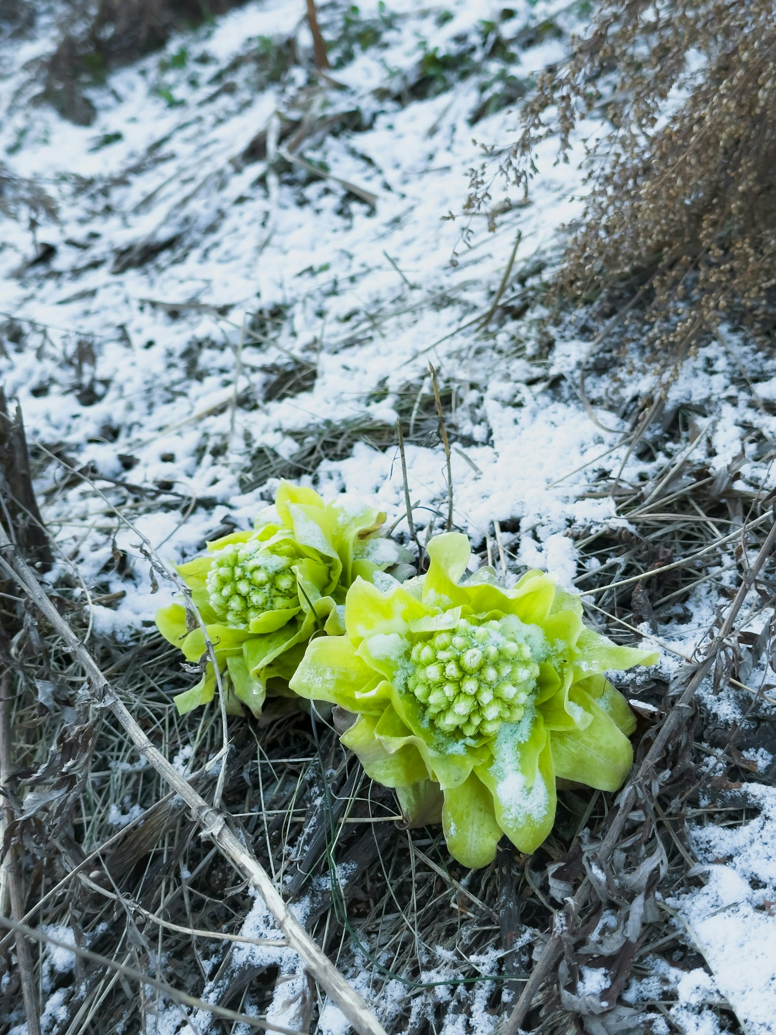 2025-04-march-diary-25-award-image-8