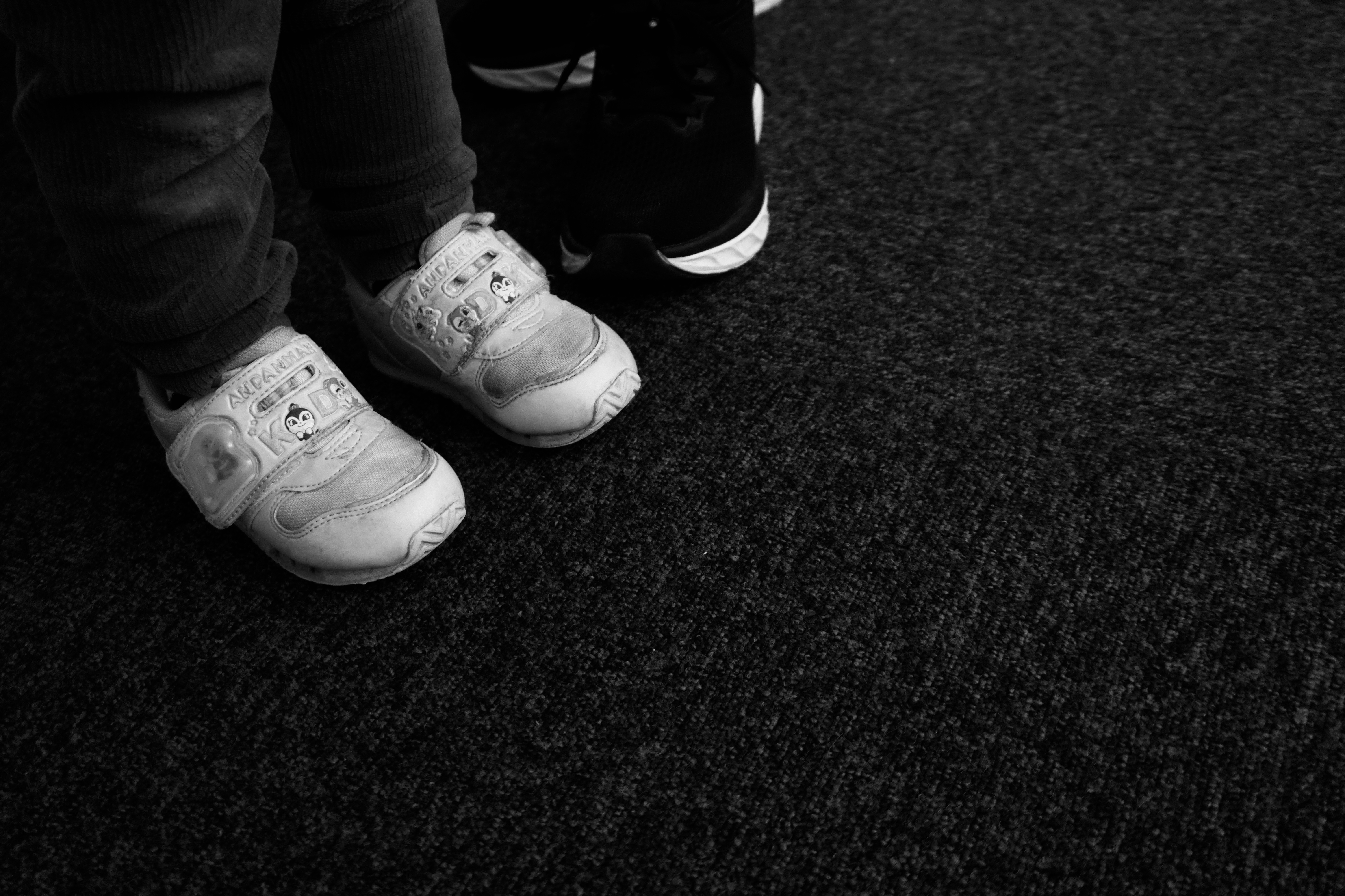 2026-02-standing-between-with-alpha6400-image-14