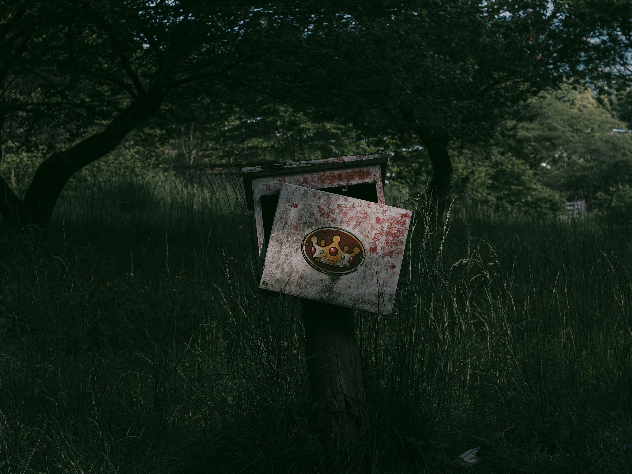 2024-05-fall-into-decay-image-16