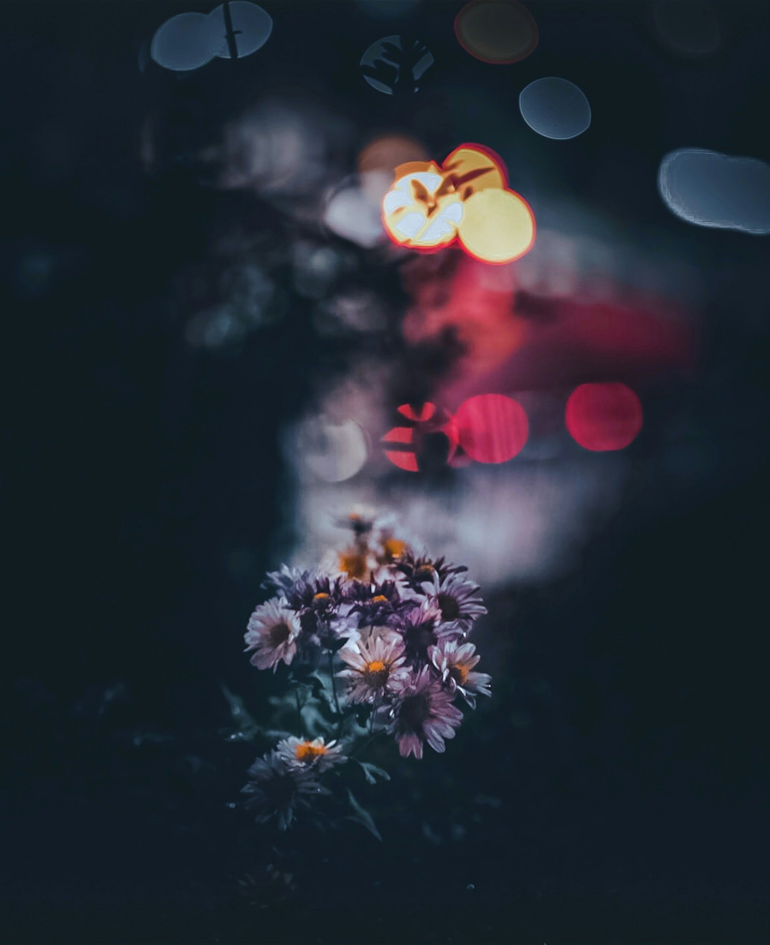 2024-05-front-blur-image-20