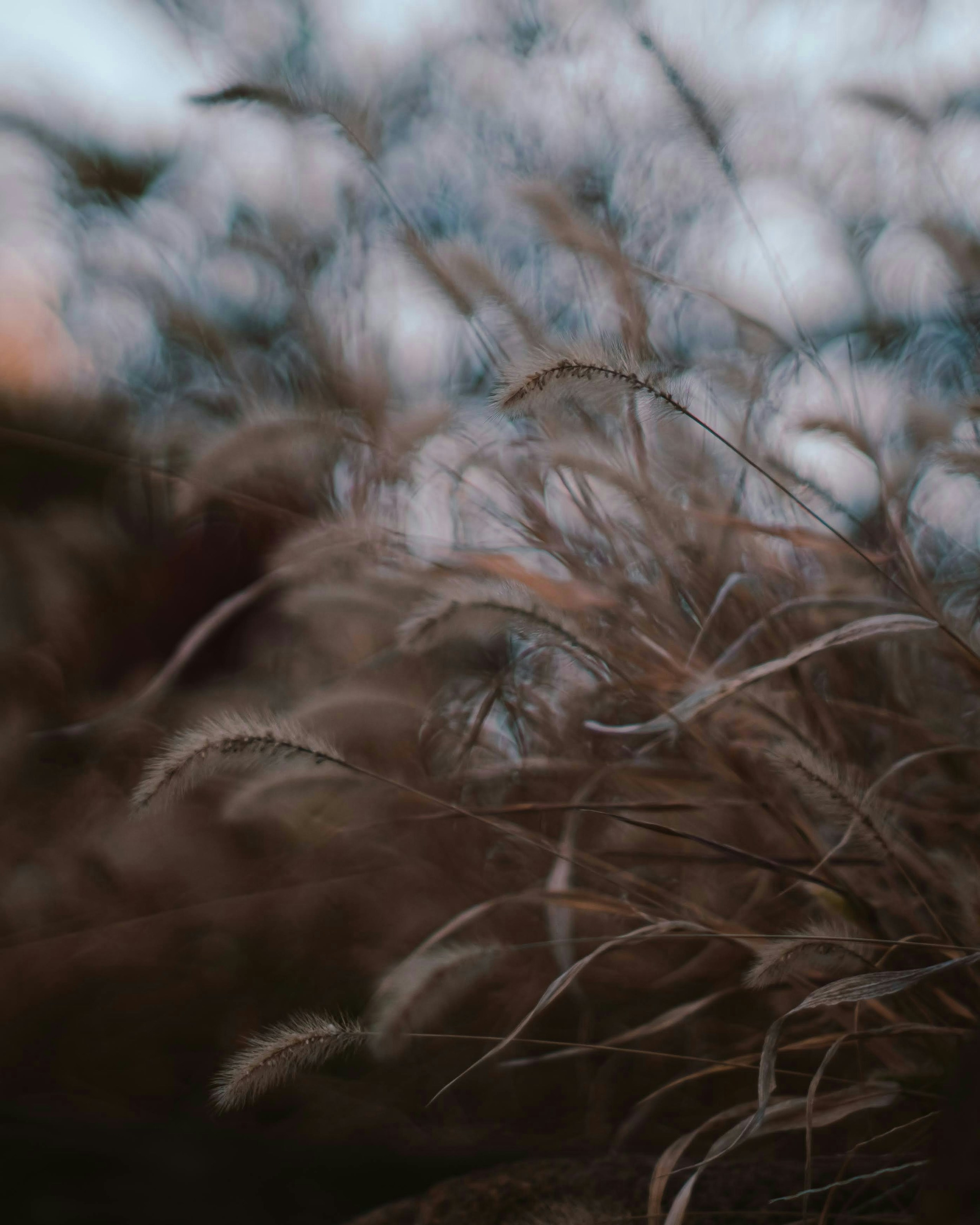 Photo by -kenchi-