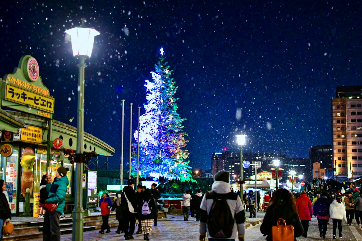 2025-12-christmas-image-5