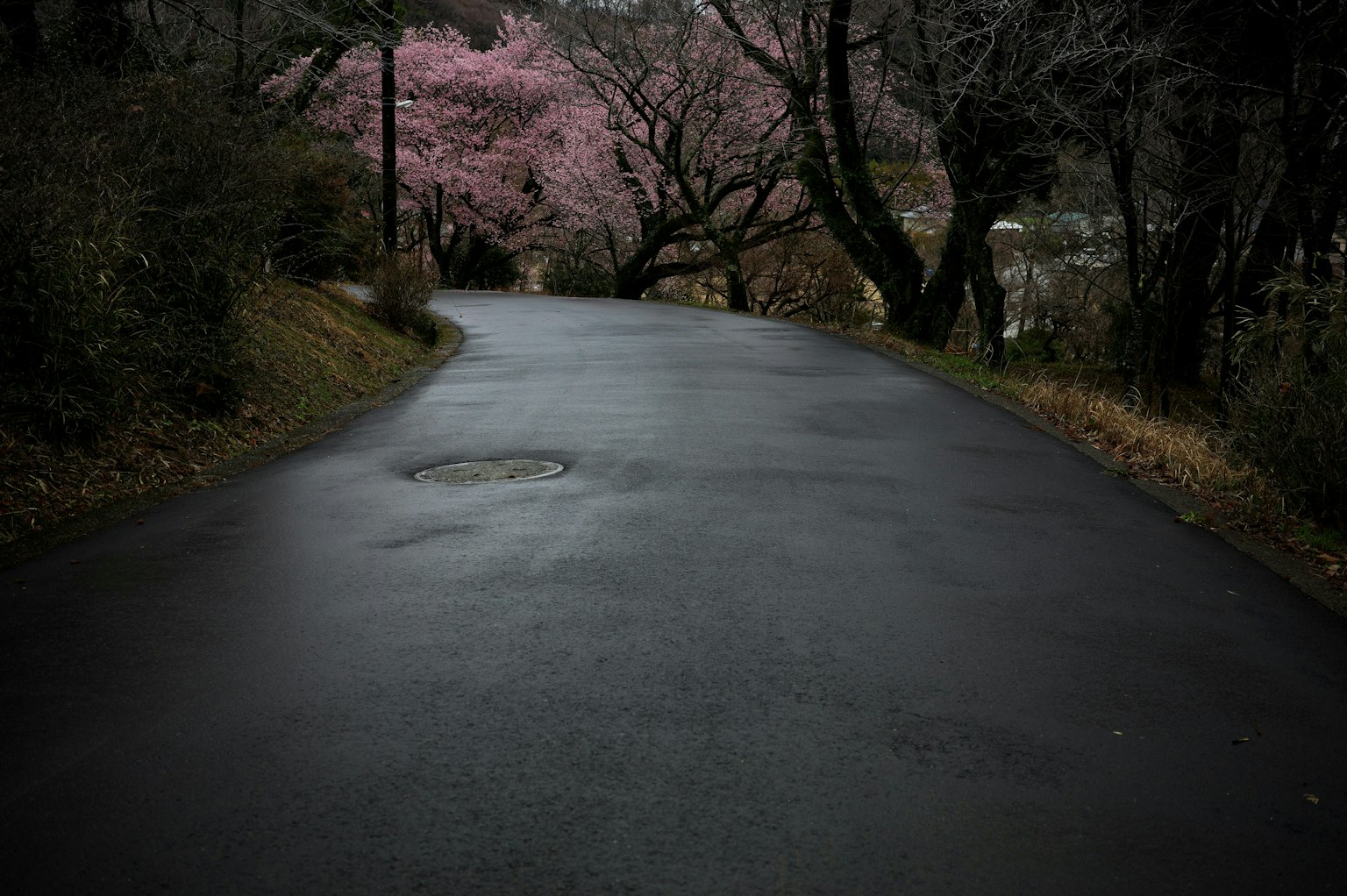 2025-07-sotsugyo-syashin-by-yumin-image-4