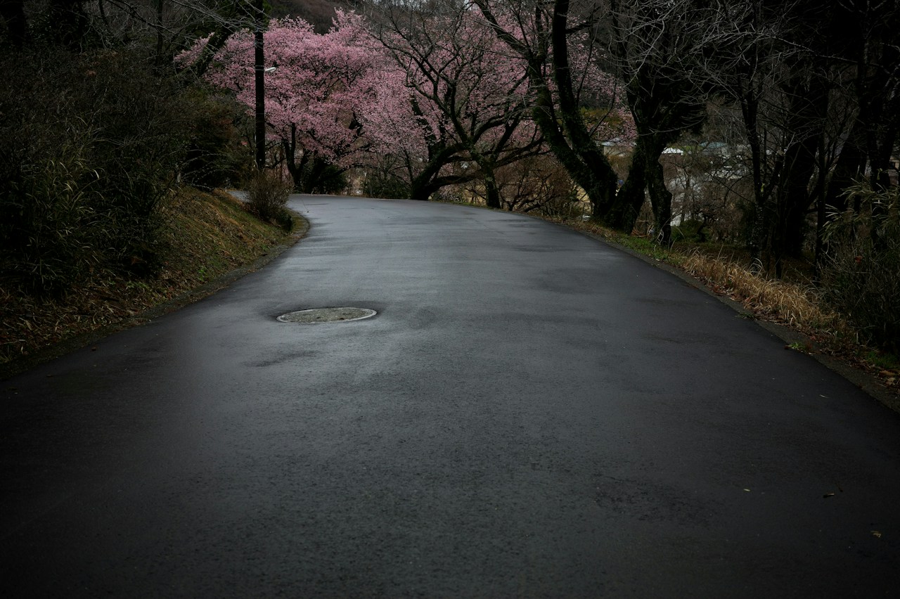 Photo by umisora