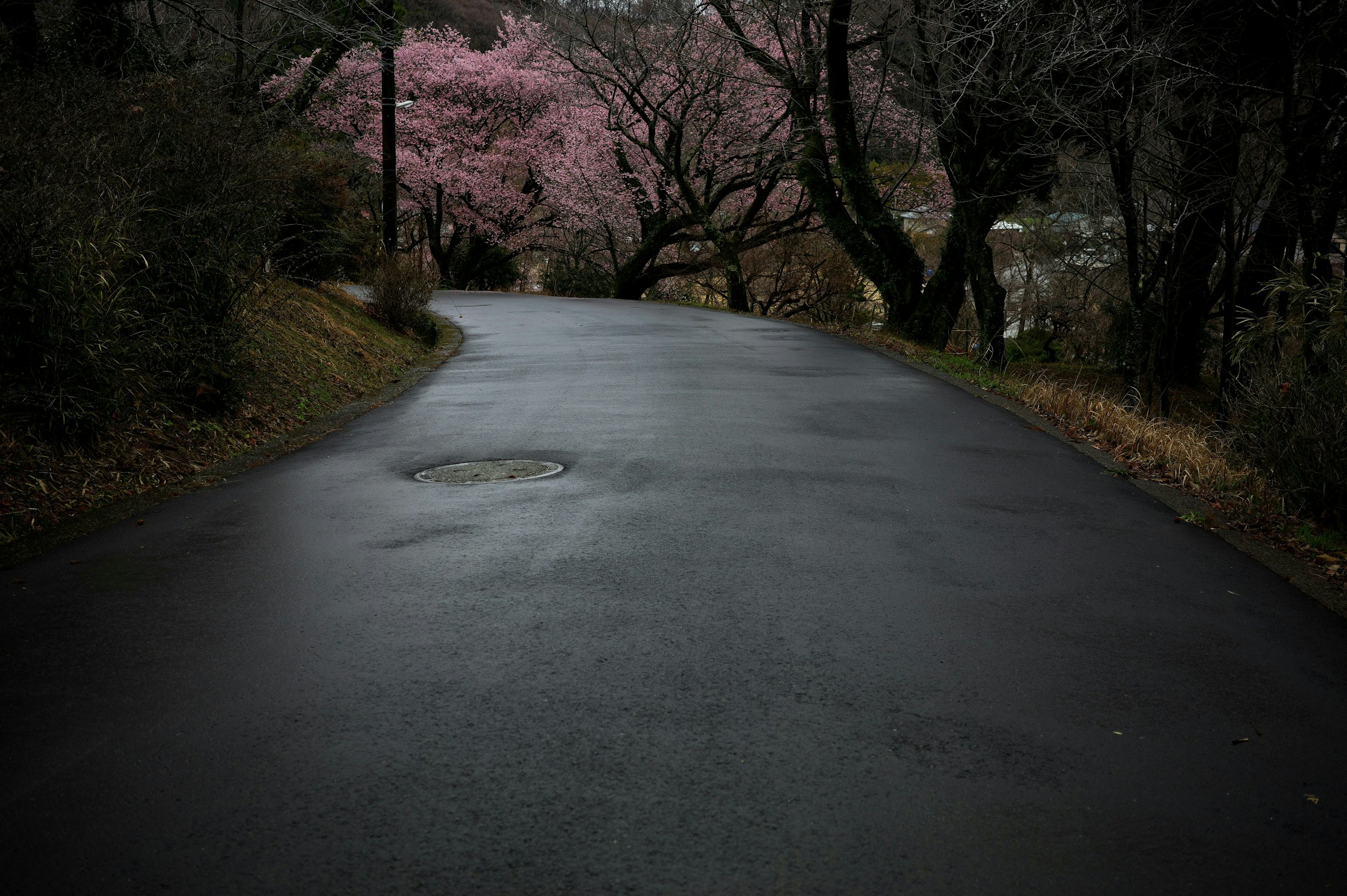 Photo by umisora