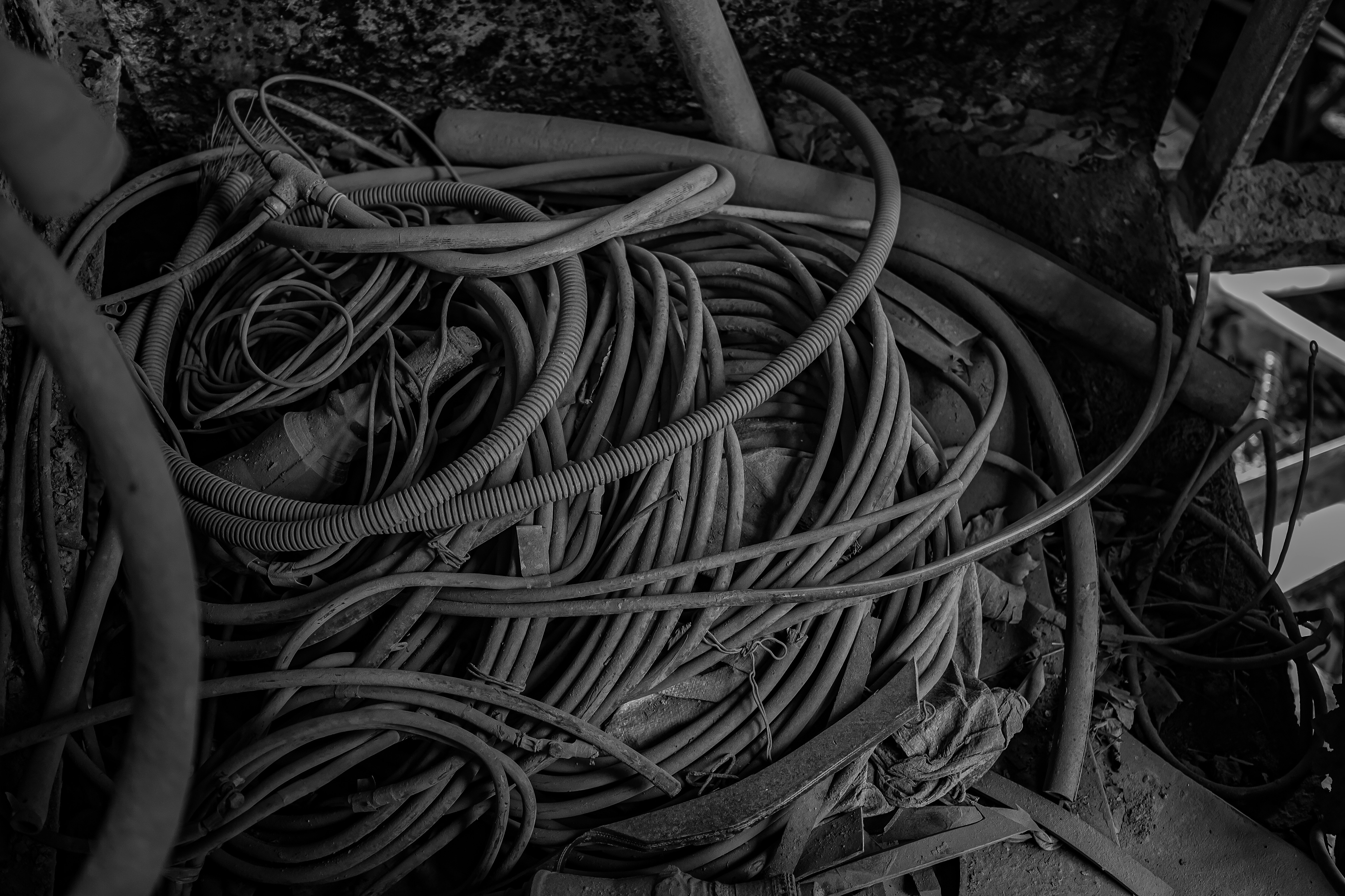 2026-07-stubborn-honor-student-sigma-dp2-merrill-image-15