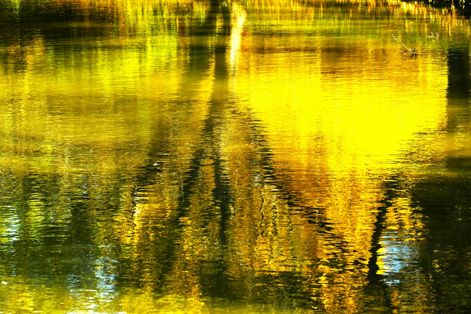 2024-06-reflection-photography-image-12