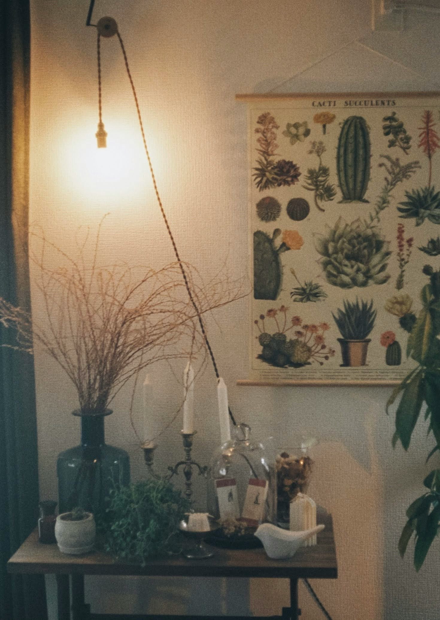 2024-08-film-grain-effect-image-13