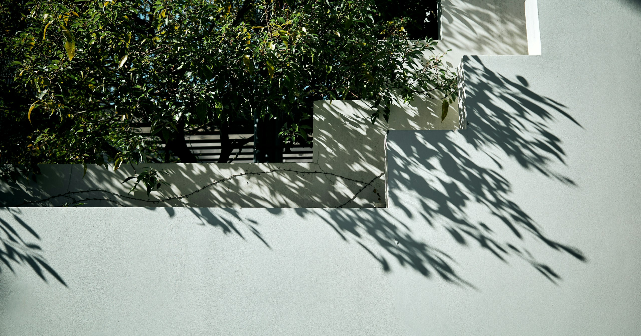 2026-06-green-hours-cover-image