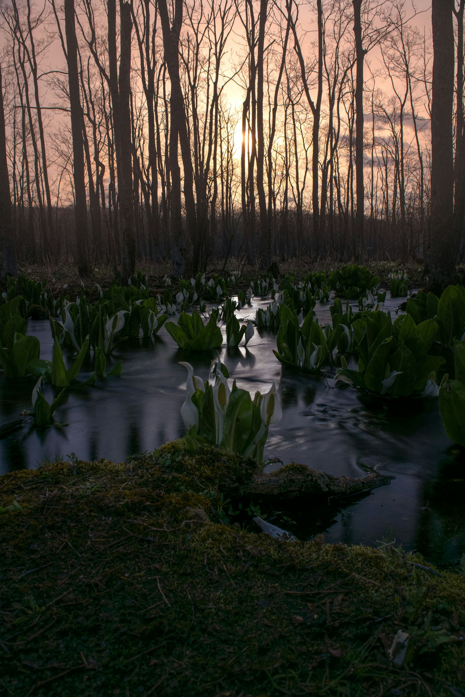 2024-05-good-days-image-12