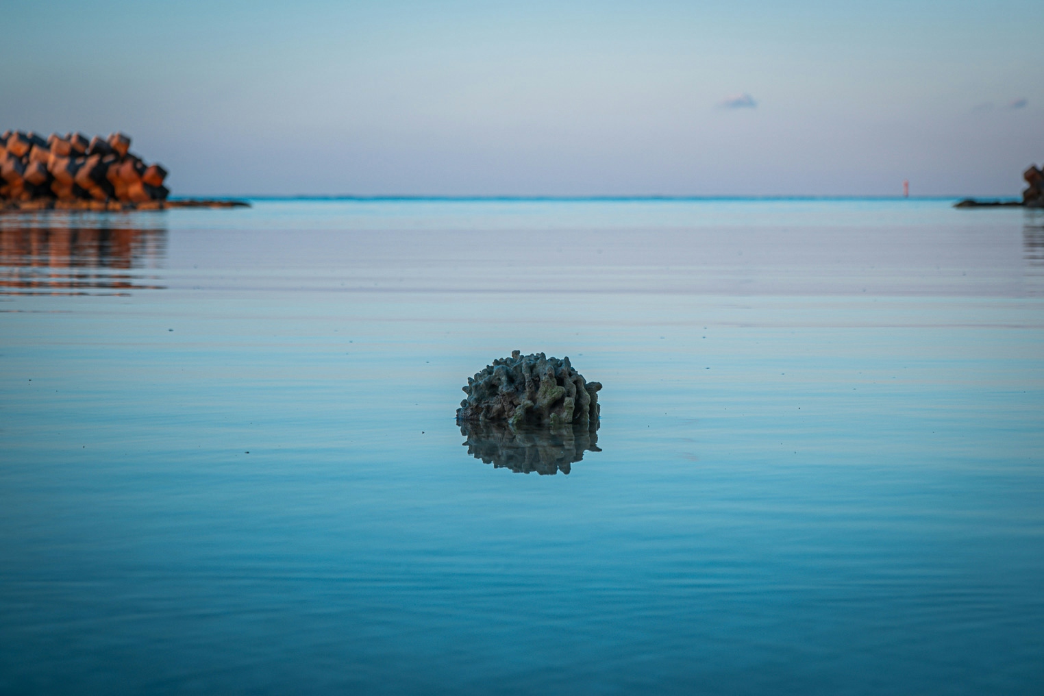 2025-12-photo-contest-pr-1-cover-image