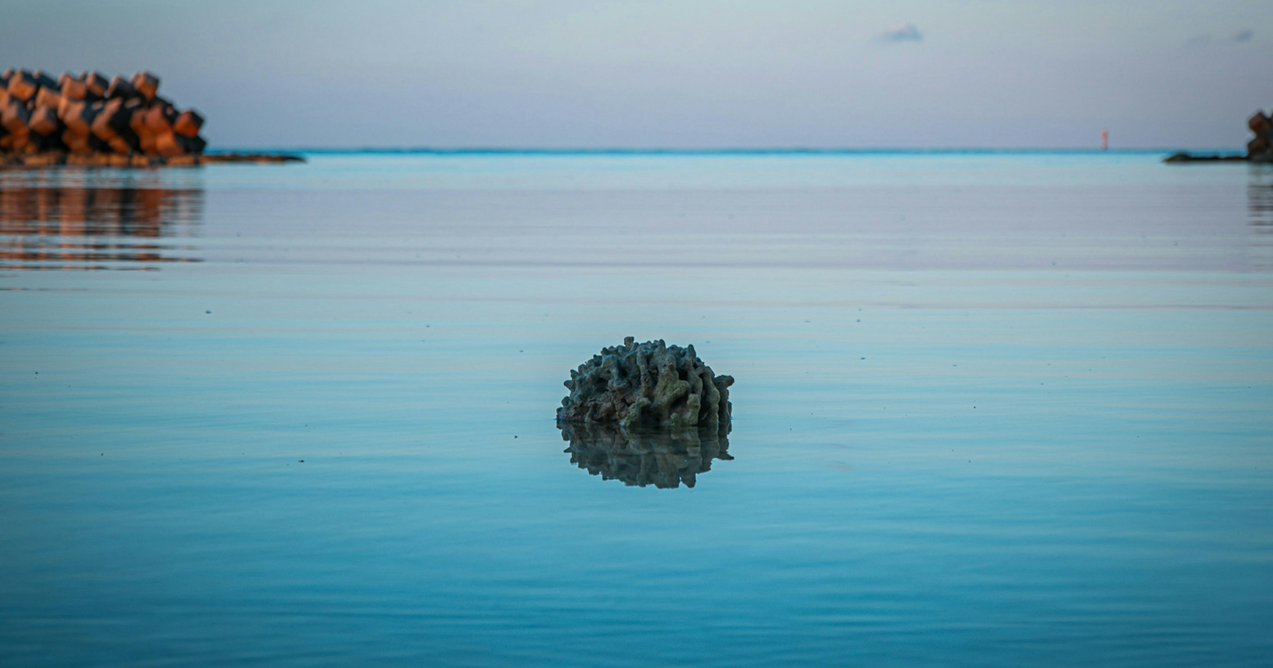 Introducing the Ongoing Photo Contests | Challenge #298