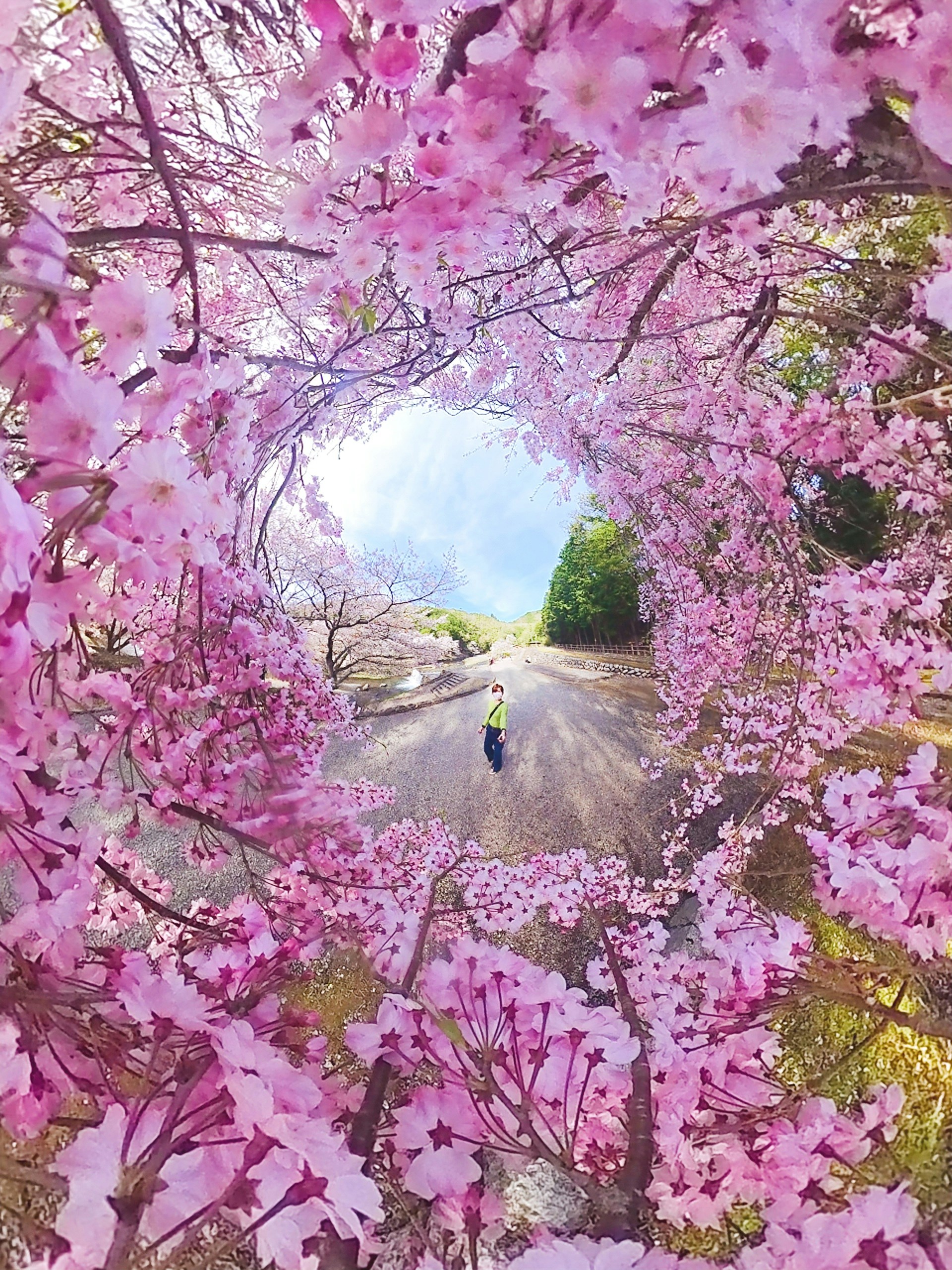 Photo by ちゅらりんこ