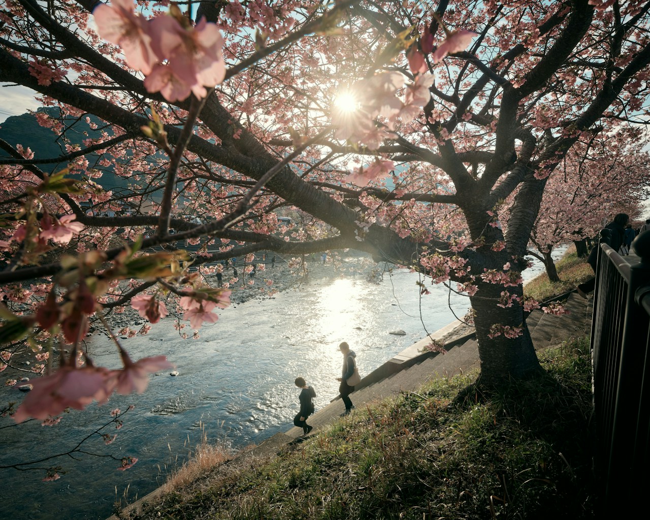 Annuncio dei vincitori di cizucu 'Spring Awakening' | Challenge #204