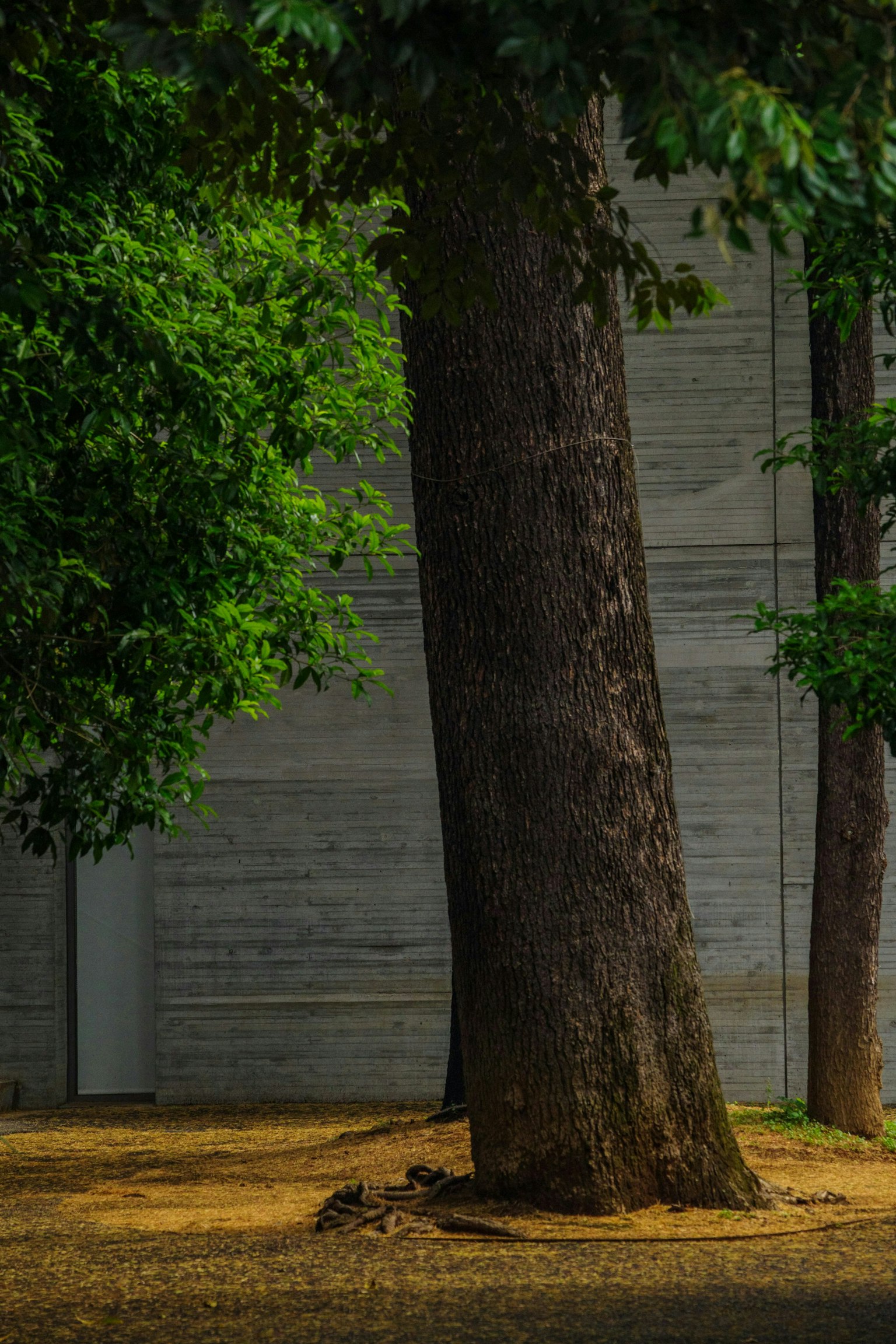 2024-08-life-in-harmony-image-12