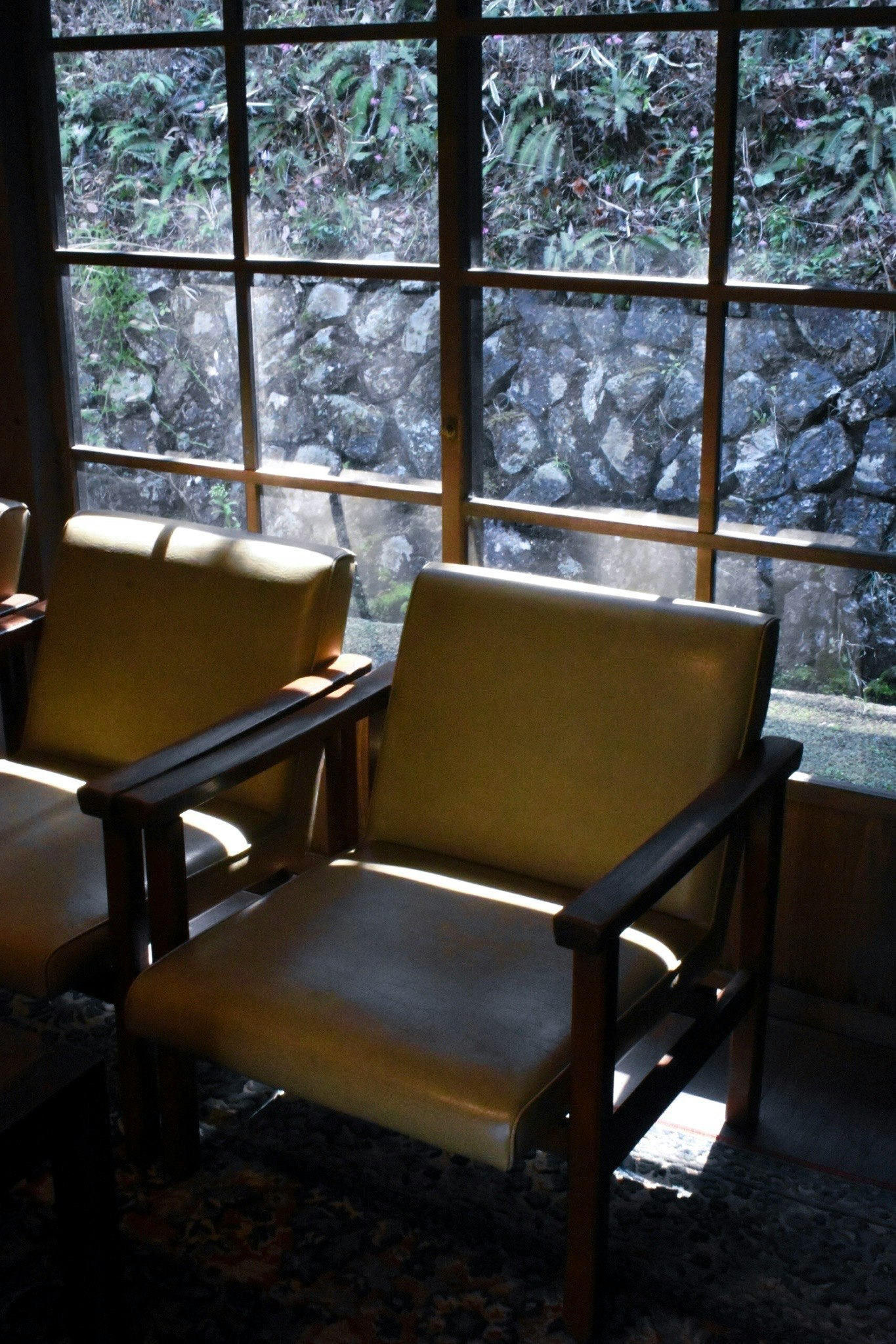 2026-01-shadows-of-window-light-image-5