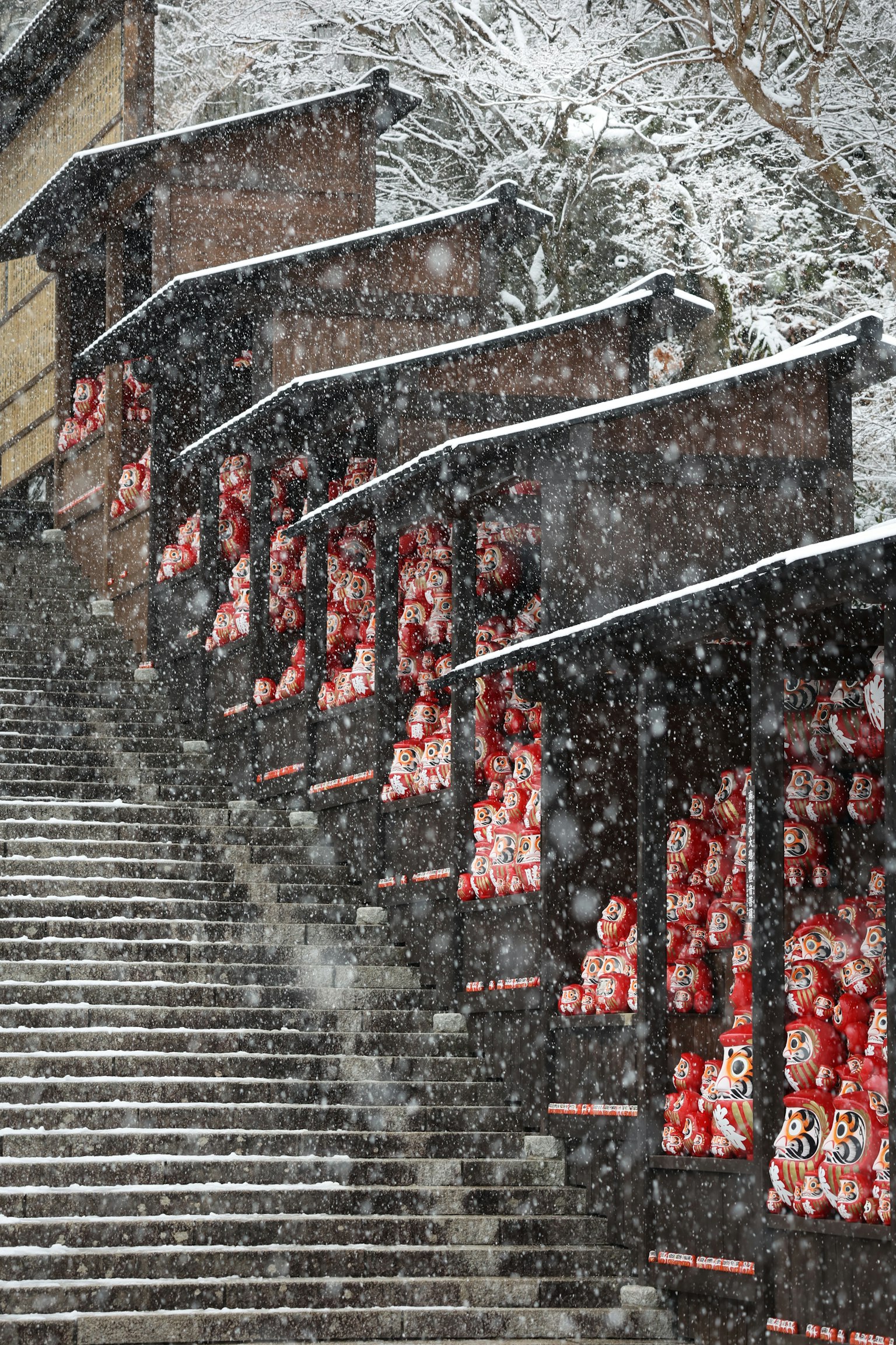 2024-03-winter-magic-image-11