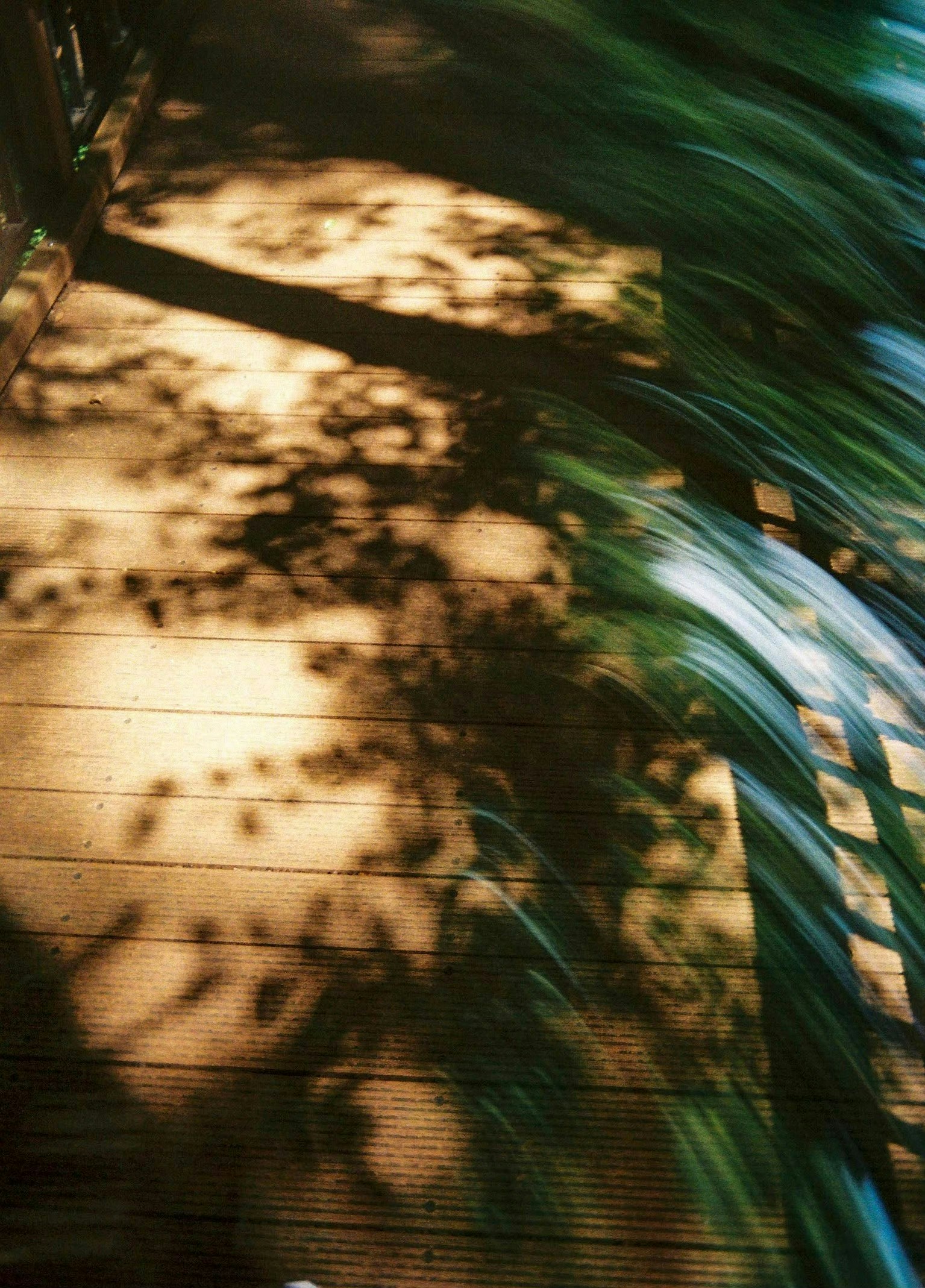 Foto por Aya