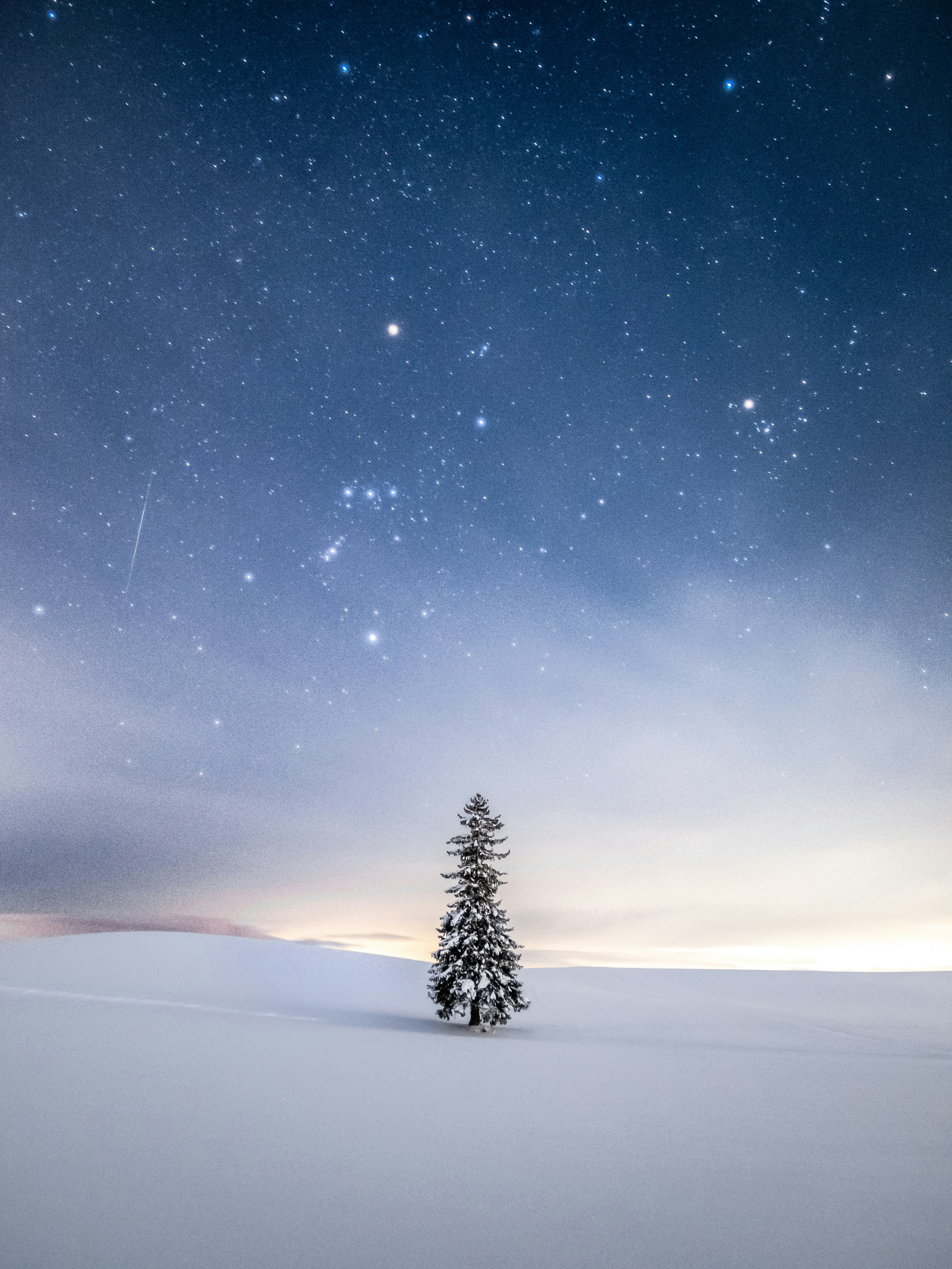 2025-12-christmas-report-image-9