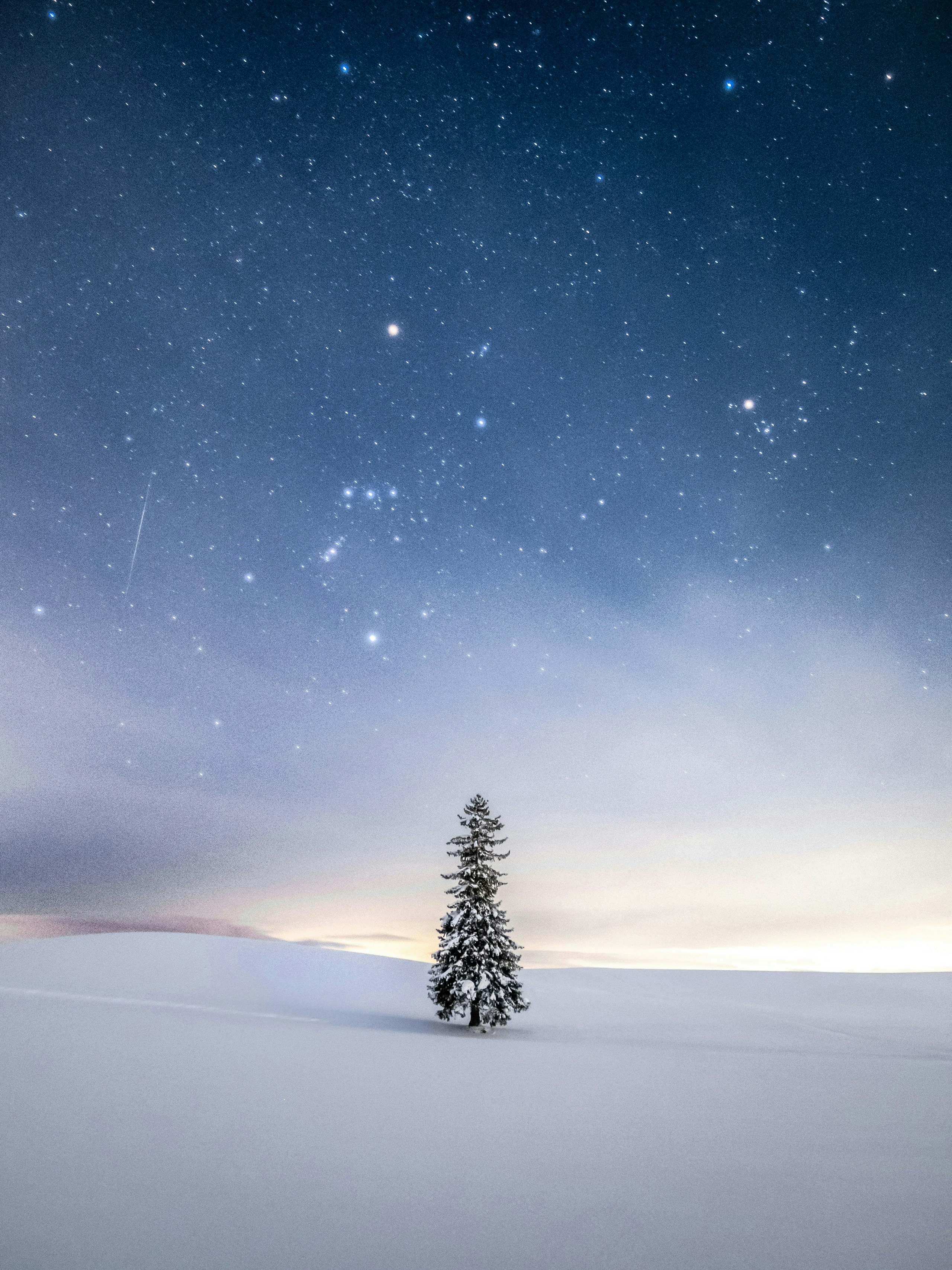 2025-12-christmas-report-image-9