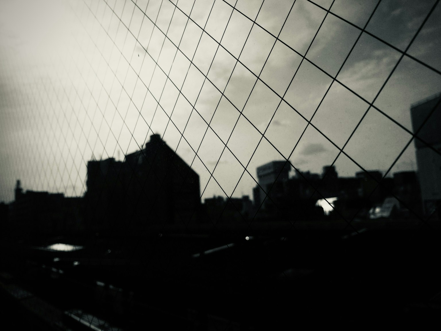 2025-11-spotlight-takahashi-watanabe-shirakawa-image-14