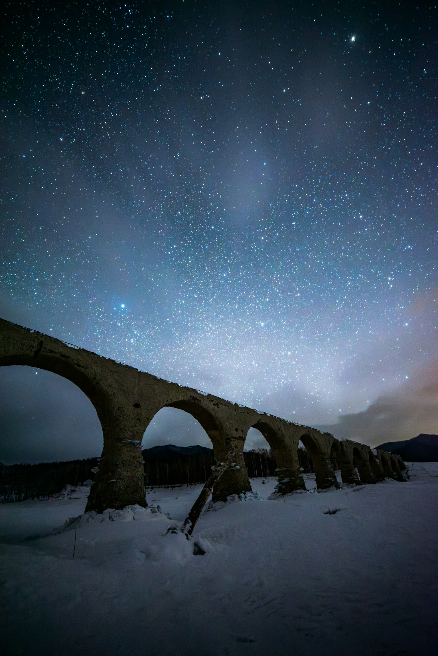 2025-06-ppp-review-by-hayashi-koki-image-13