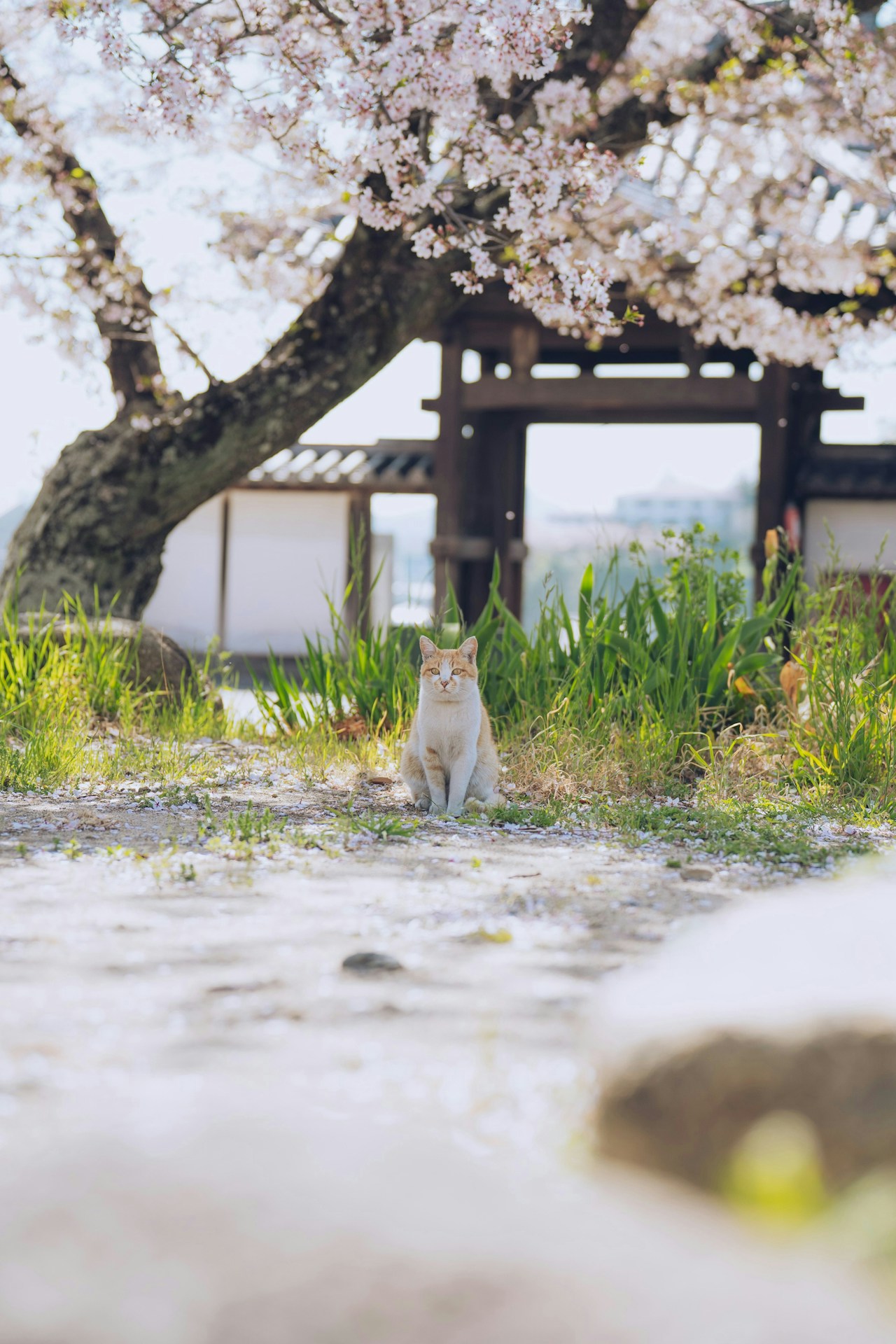 Photo by masato_a