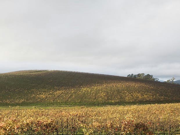 ©Simon Goldin Aufnahmeort von , fotografiert im November 2006