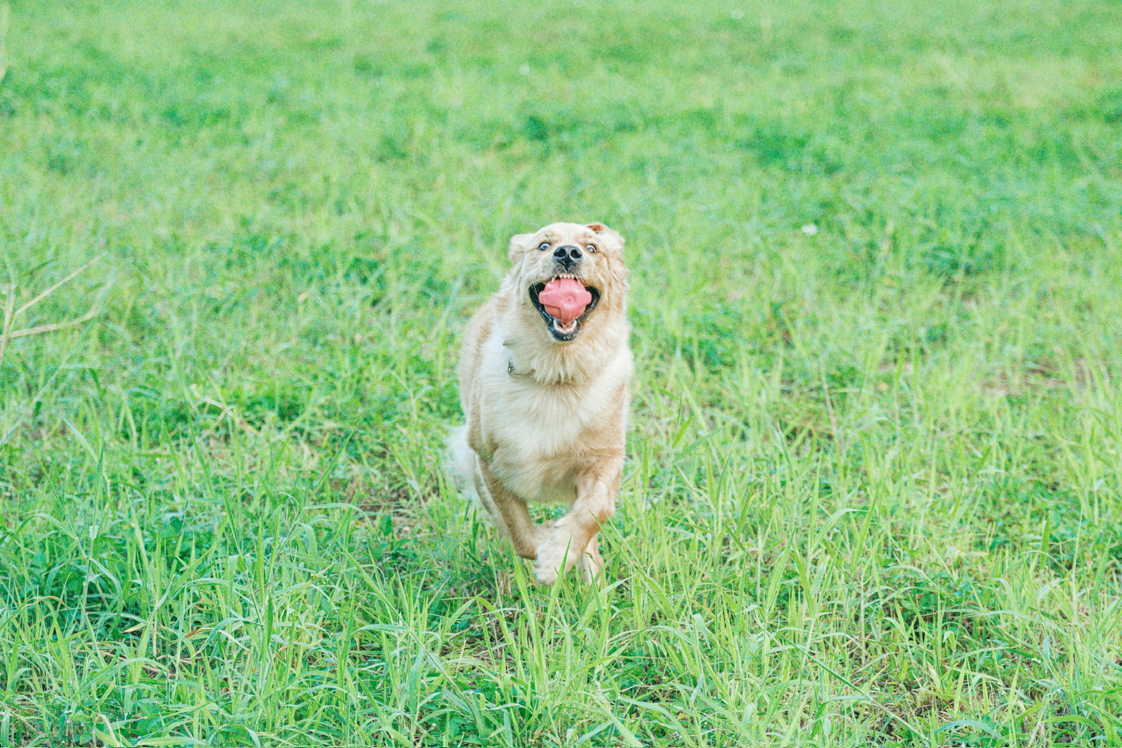 Photo by ガナシー