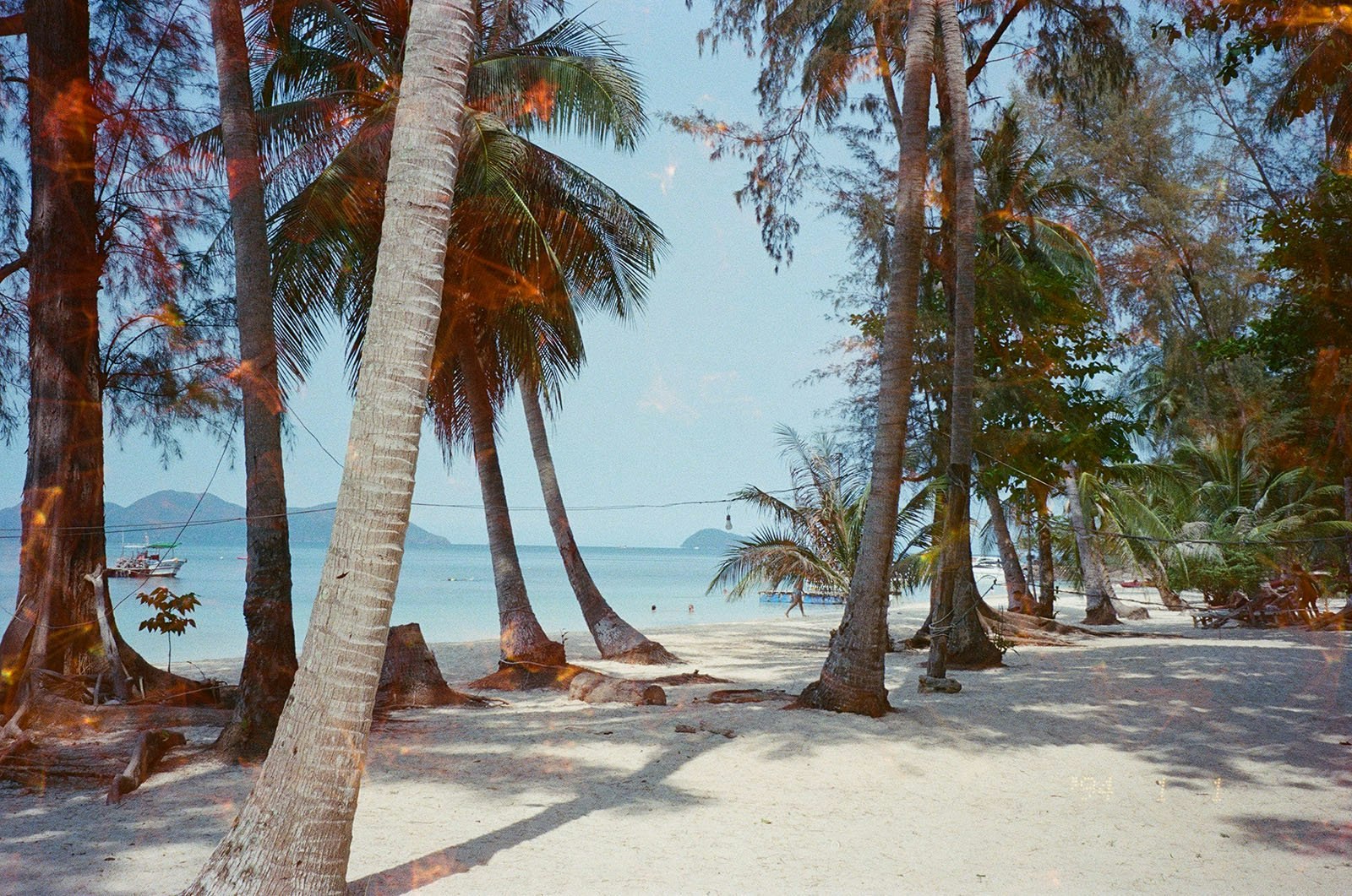 2024-06-echo-film-image-13