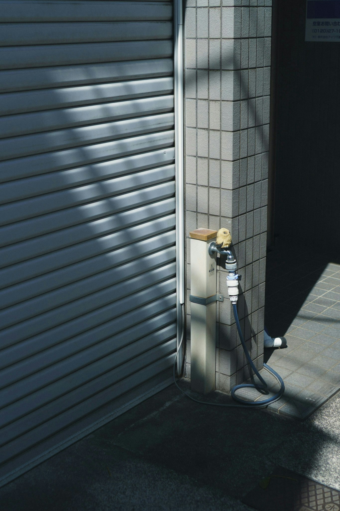 2025-05-fragments-of-memory-award-image-6