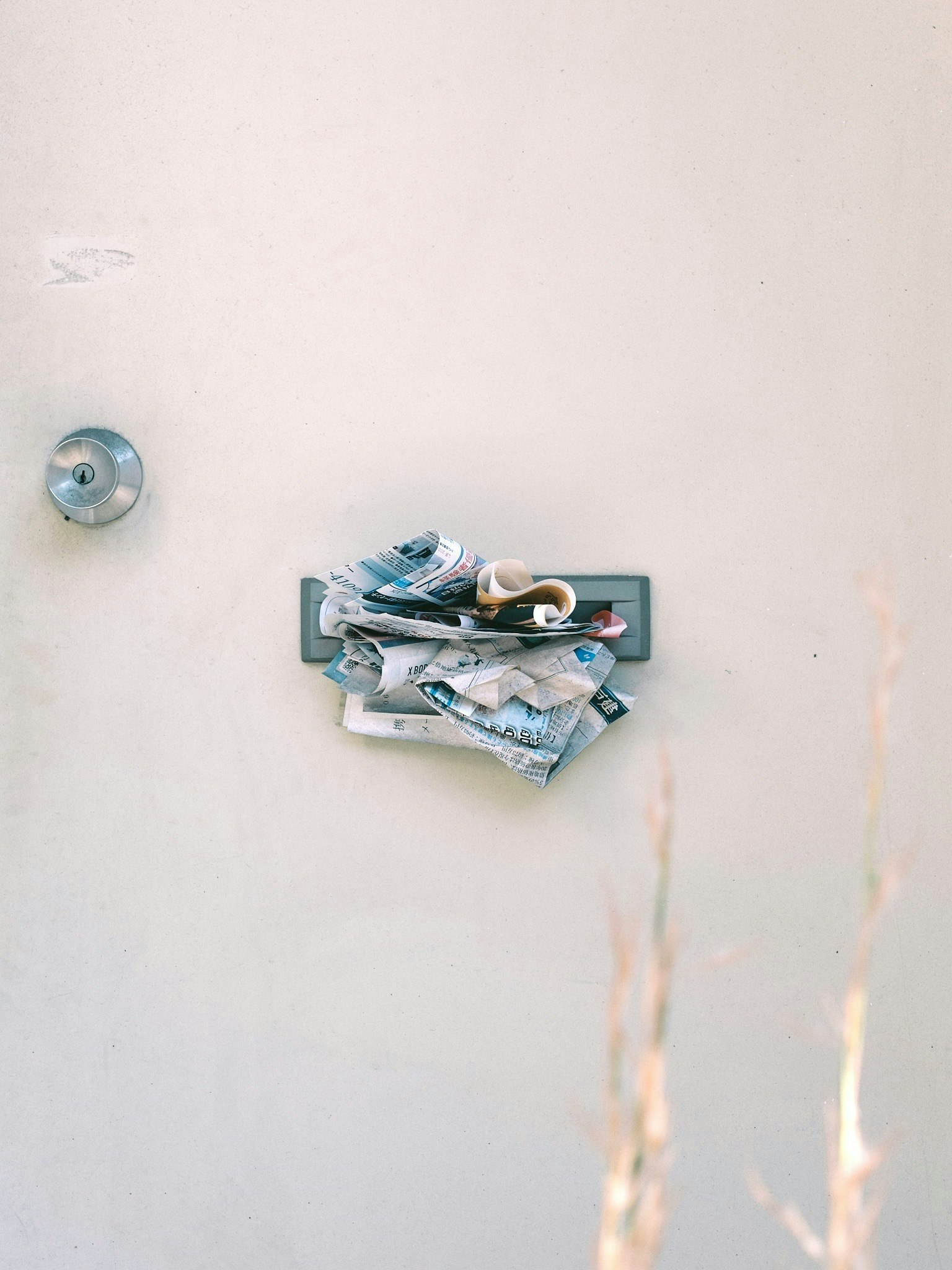 2025-09-spotlight-masashi7069-ppo-yuya-image-14