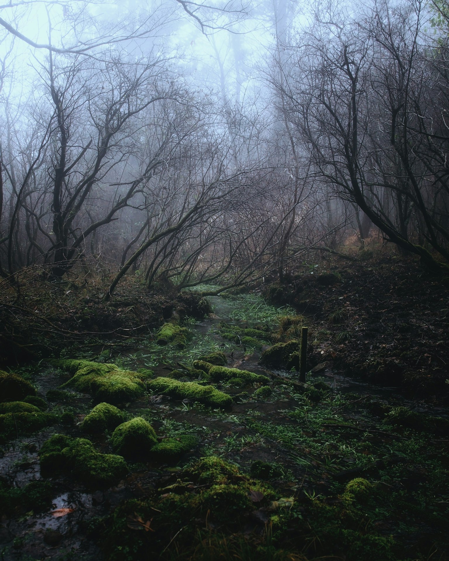 2024-06-mountain-mystery-award-image-8