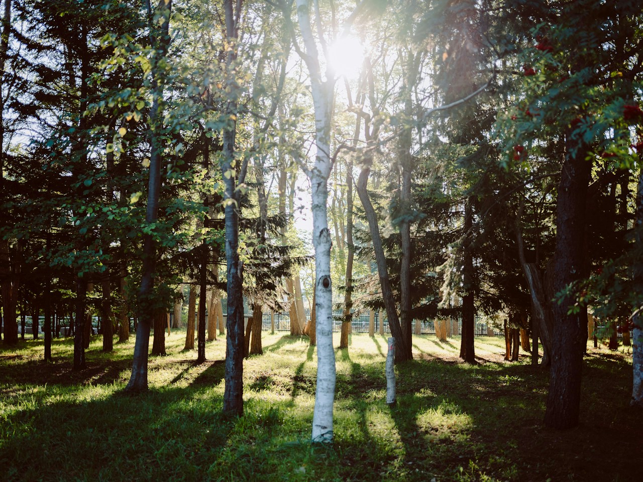 Photo by Aritaka