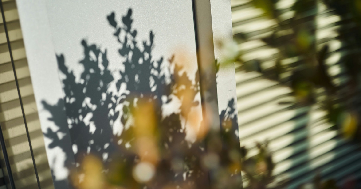 2025-02-pick-up-photos-no-44-48-cover-image