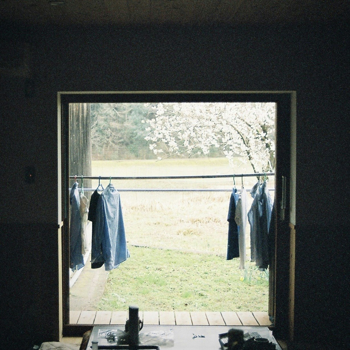 2024-06-daily-moments-award-image-26