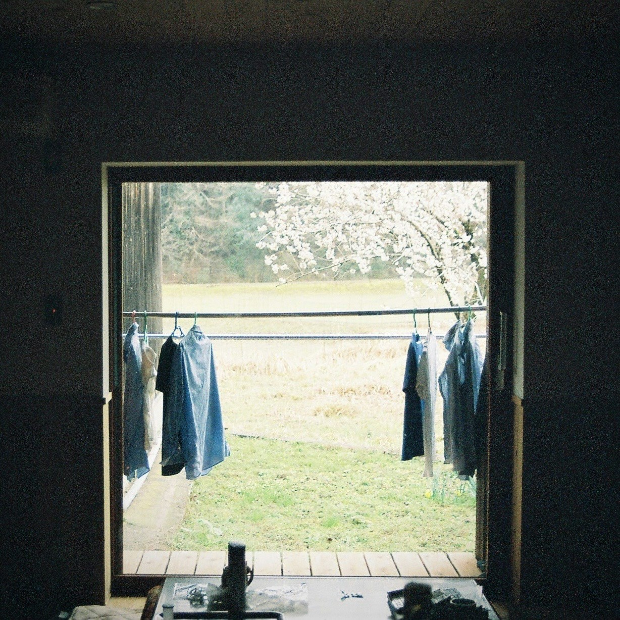 2024-06-daily-moments-award-image-16