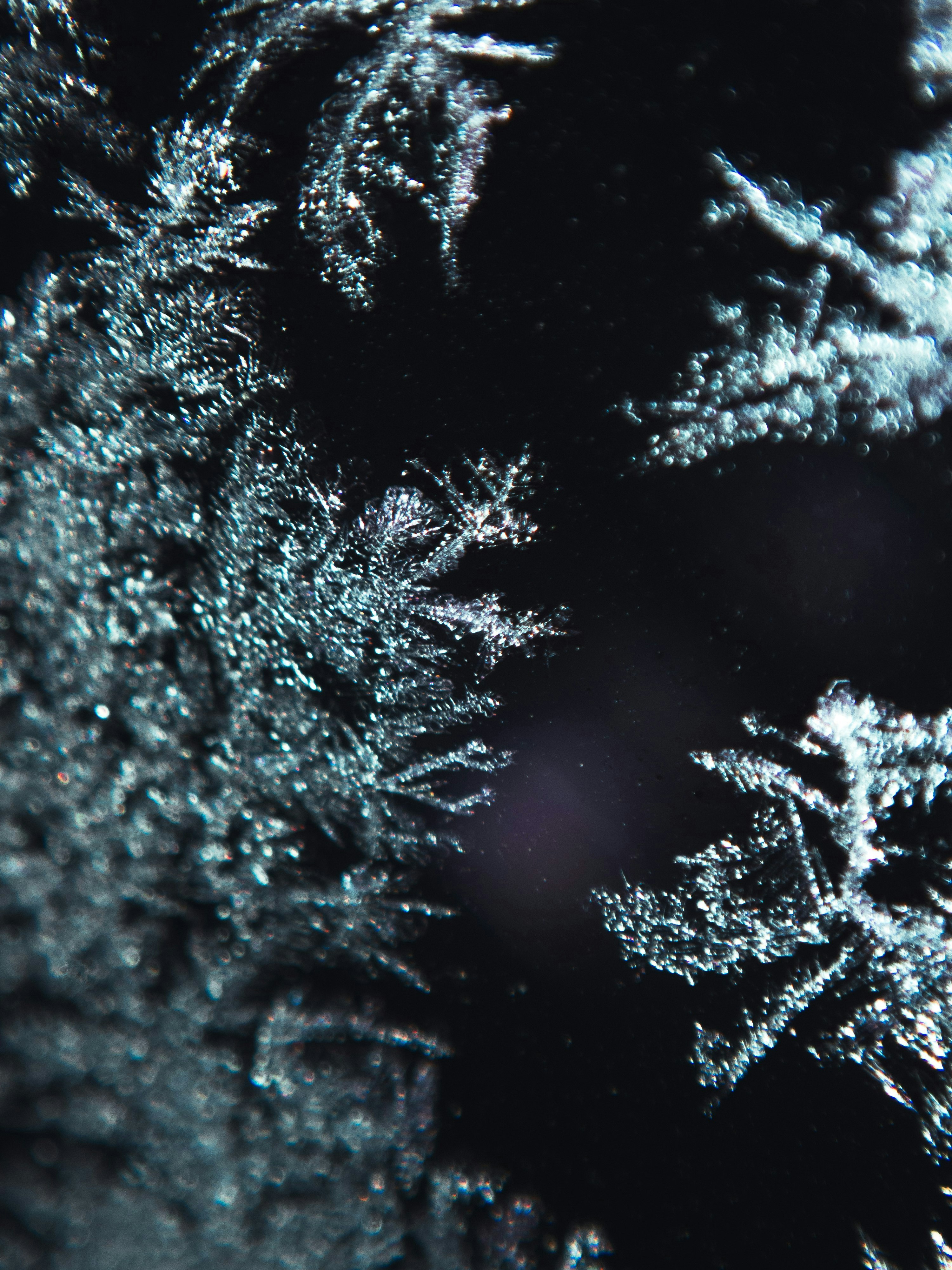 2025-07-remm-captures-underwater-image-15