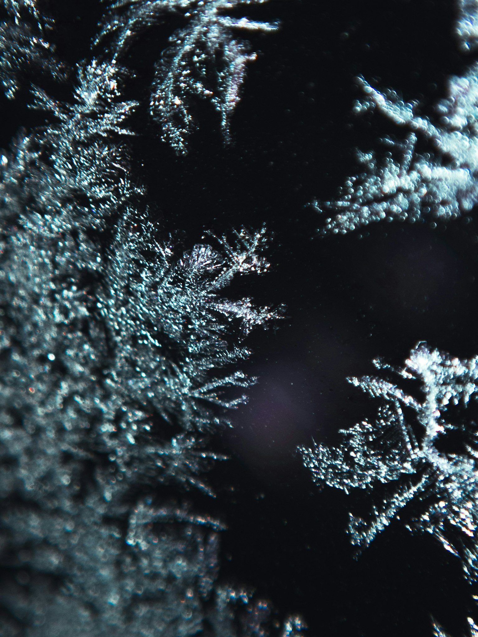 2025-07-remm-captures-underwater-image-15