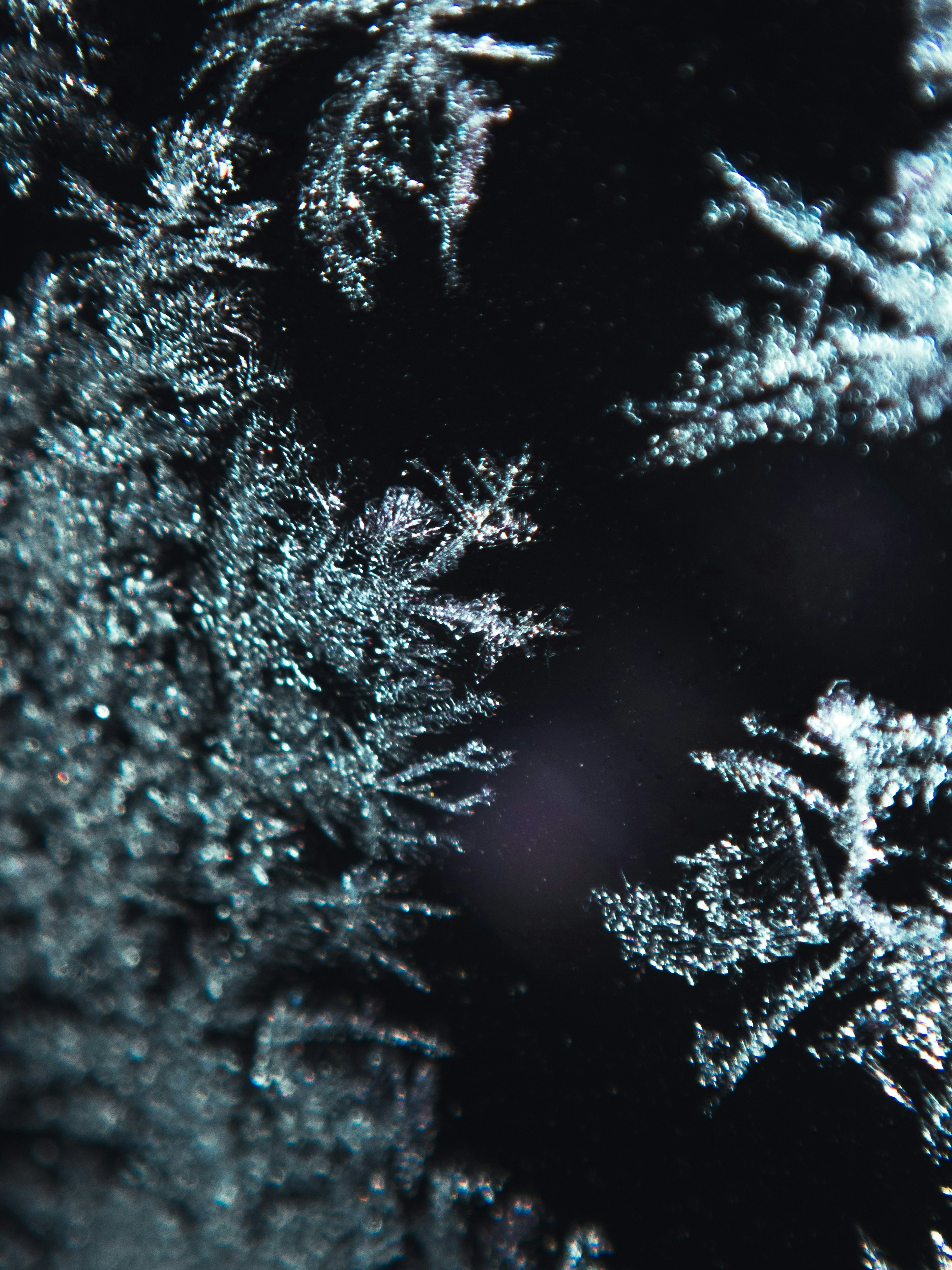 2025-07-remm-captures-underwater-image-15