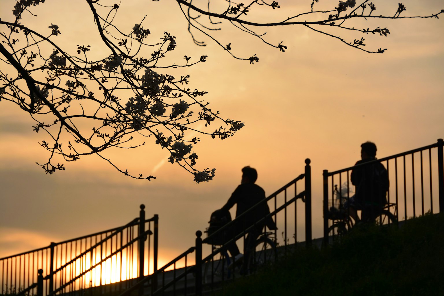 2024-05-oshampo-diary-image-16