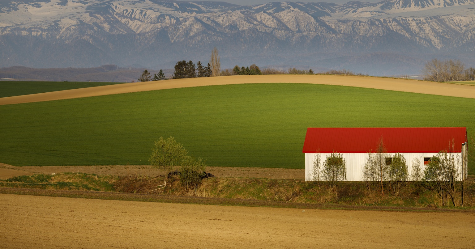 2024-05-letters-from-japan-cover-image