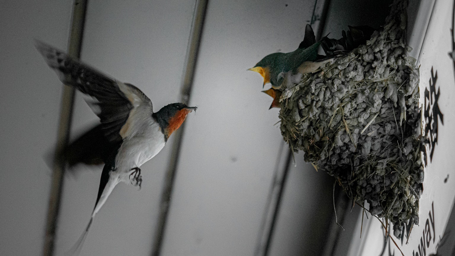 2024-02-life-image-3