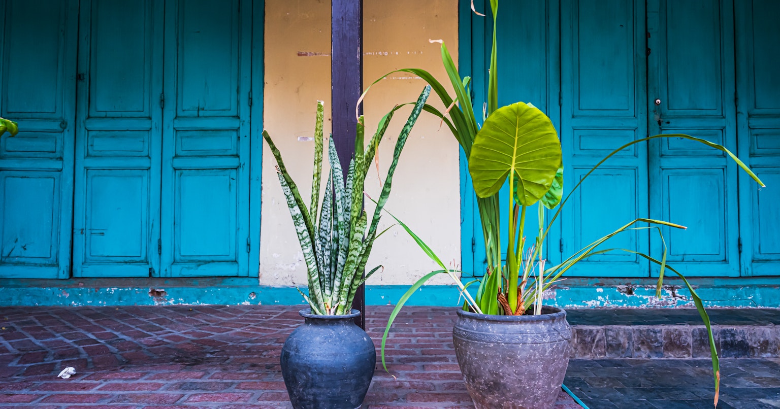 2024-06-compare-with-rollei-35-af-cover-image