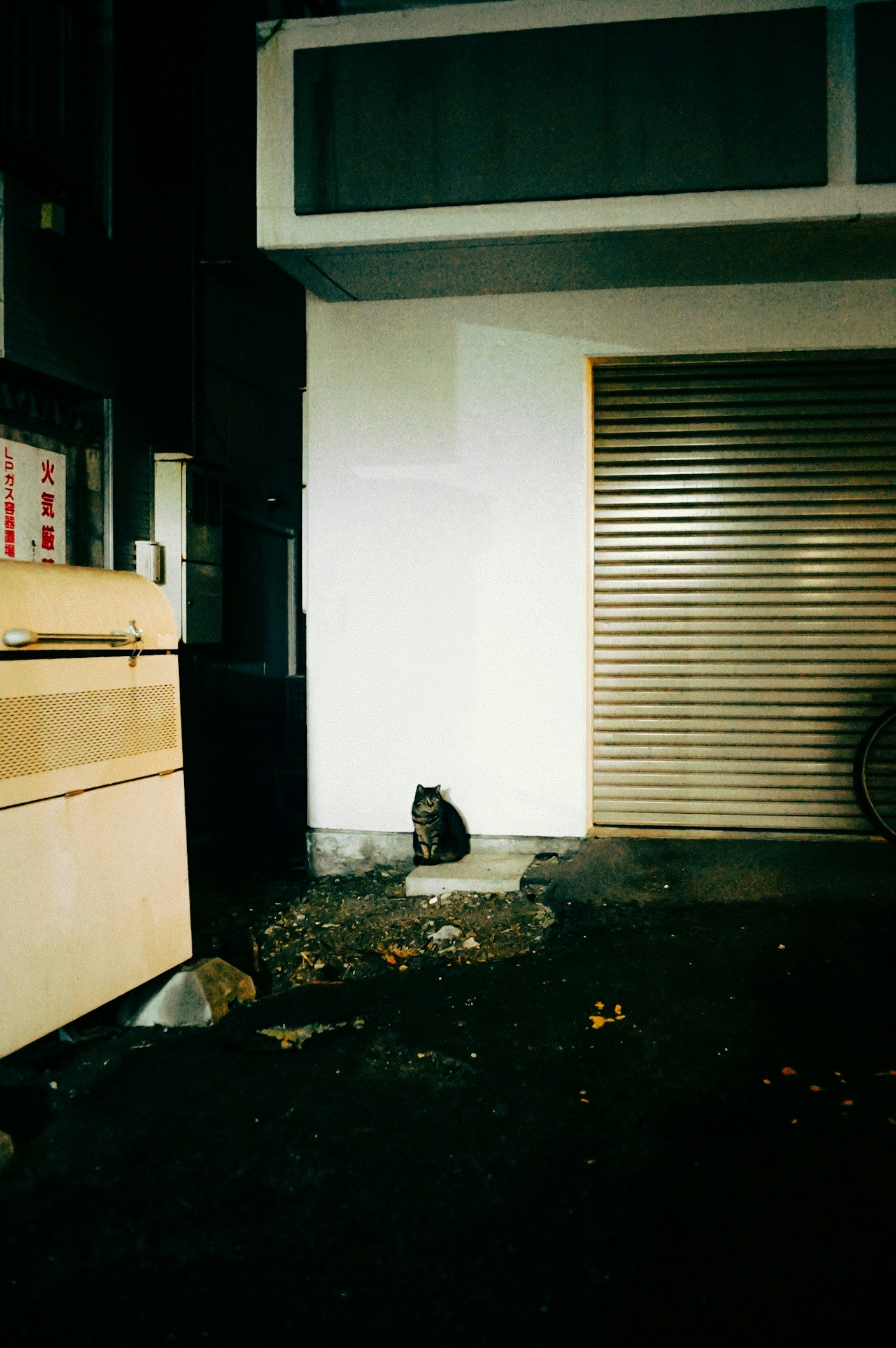 2026-04-find-new-pieces-cat-image-44