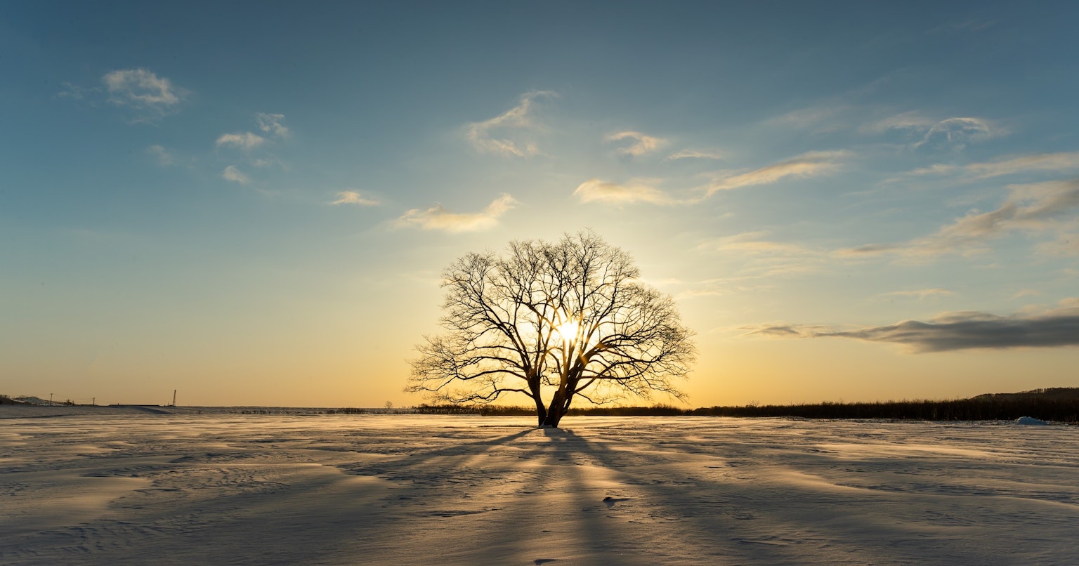 2023-12-visual-symphony-in-round-award-cover-image